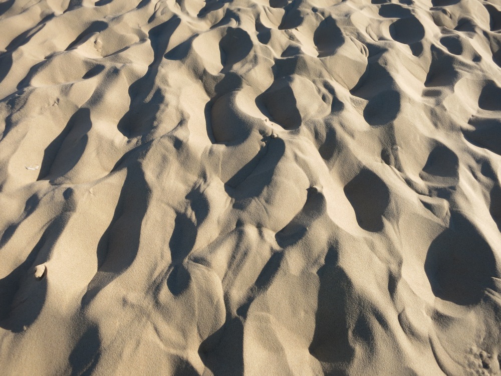 Detail of the sand dunes