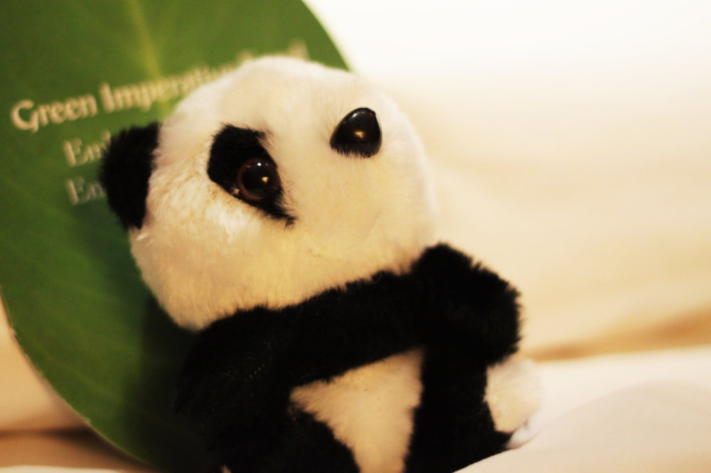 Bedside Panda